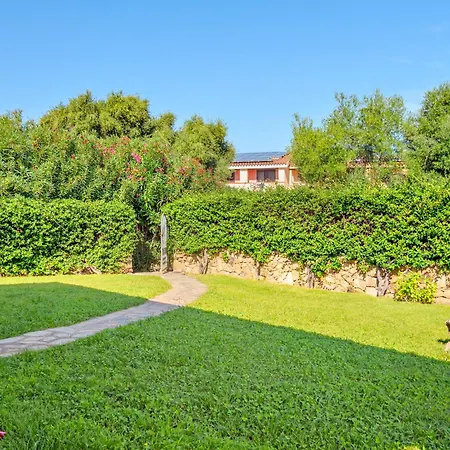 Ulivi 3